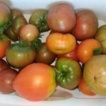 Рассылка. Сезон свежих овощей.