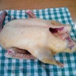 Деликатес с нежным мясом и вкусом дичи - новостная рассылка от 22 октября 2019 года