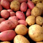 Сезон овощей с деревенской грядки. Зачем мыть ложки, когда их можно съесть.